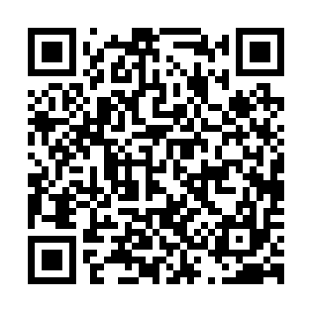 QR code for D30217