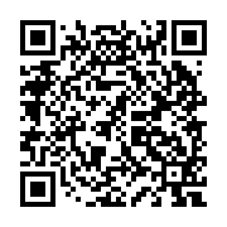 QR code for D30293