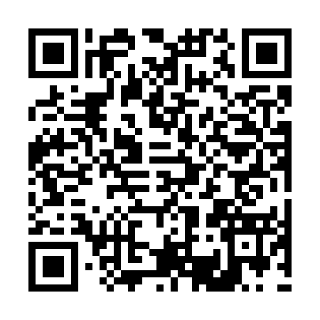 QR code for D307539