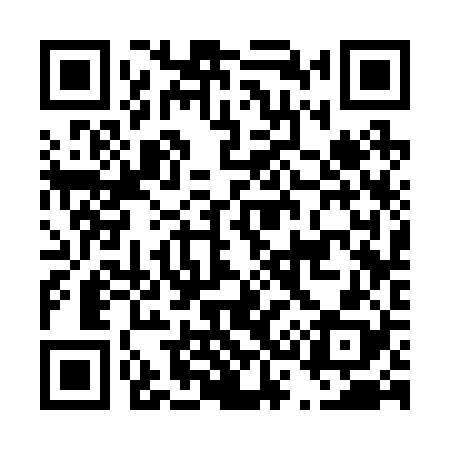 QR code for D33228