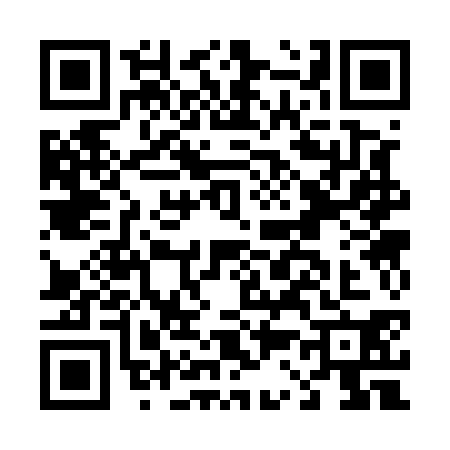 QR code for D335305