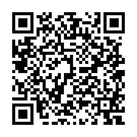 QR code for D335813