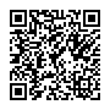 QR code for D339383