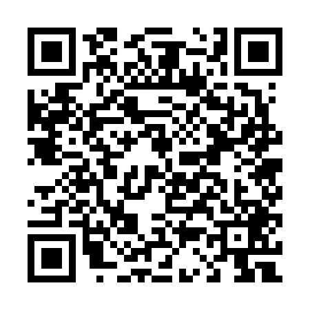 QR code for D376494