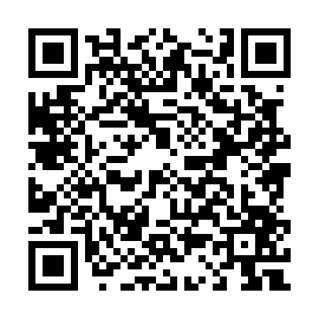 QR code for D380479