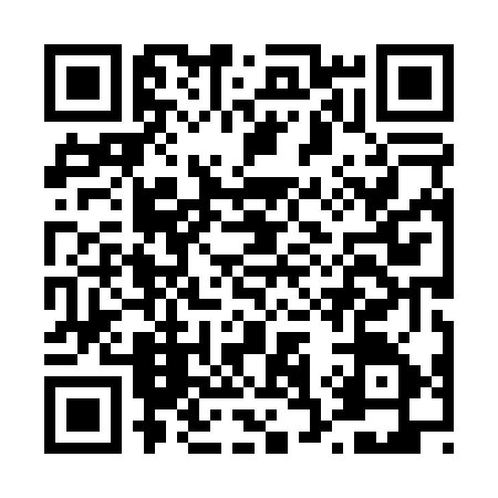 QR code for D380755