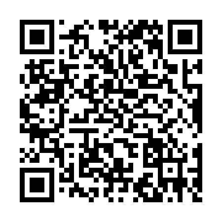 QR code for D381247