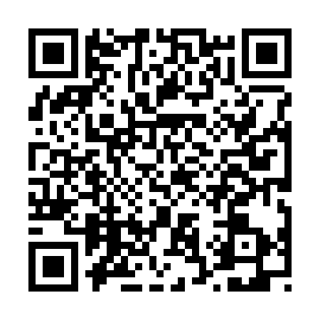 QR code for D383335