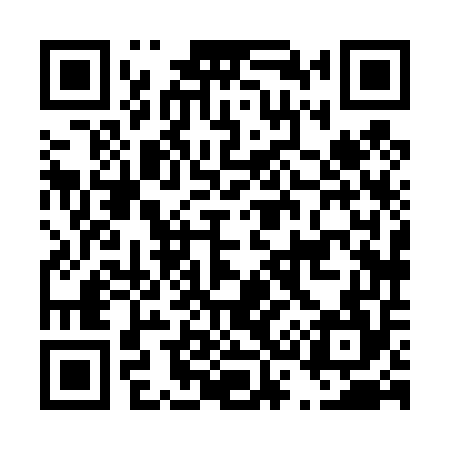 QR code for D38454