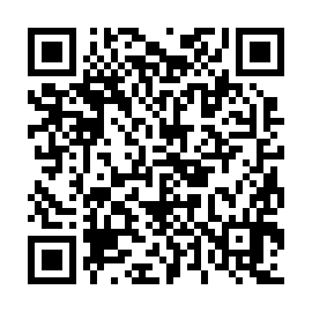 QR code for D43294