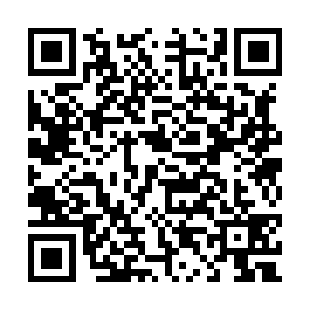 QR code for D438394