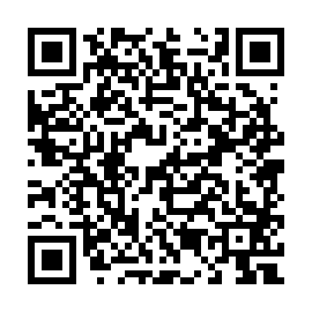 QR code for D502838
