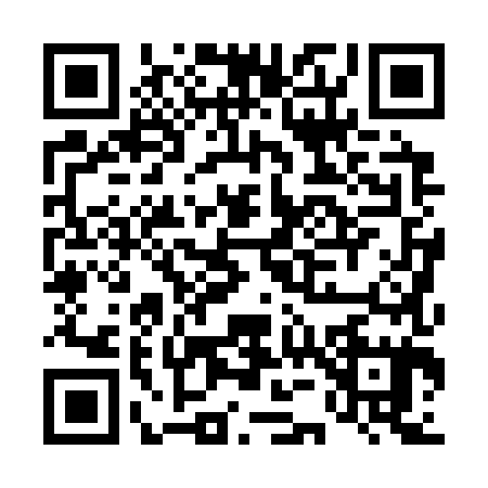 QR code for D503855