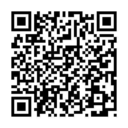 QR code for D511319