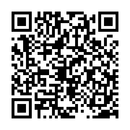 QR code for D529738