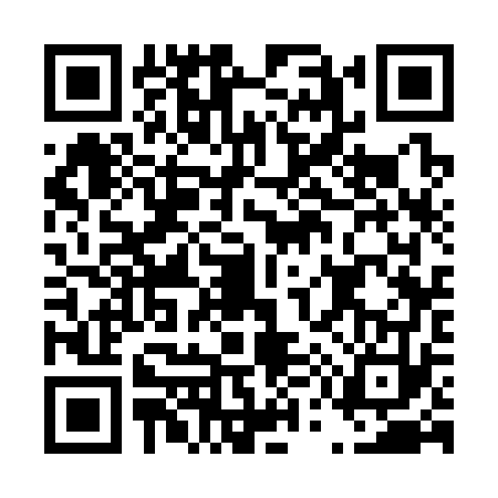 QR code for D533737