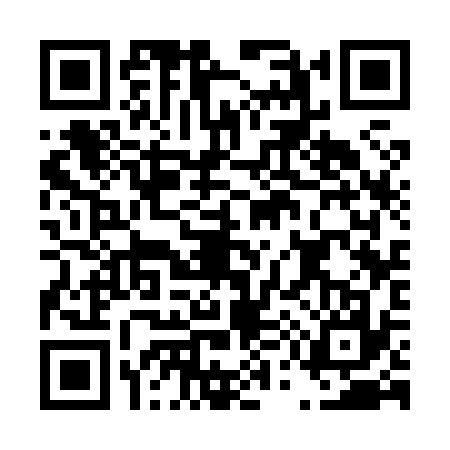 QR code for D538376