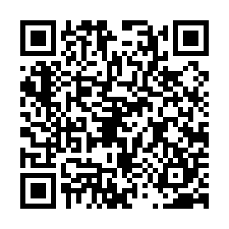 QR code for D541043