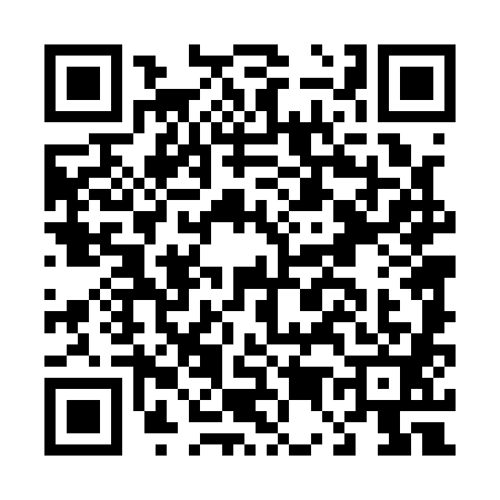 QR code for D541813