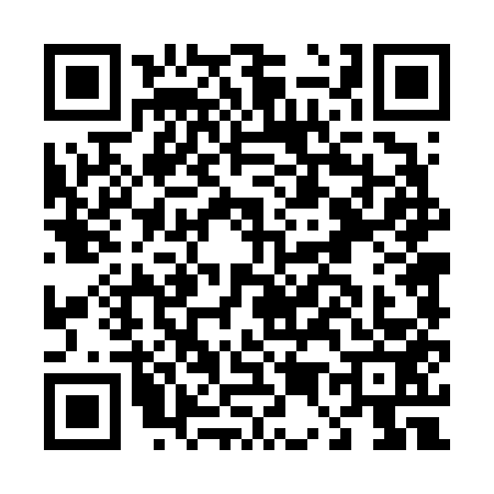 QR code for D546538
