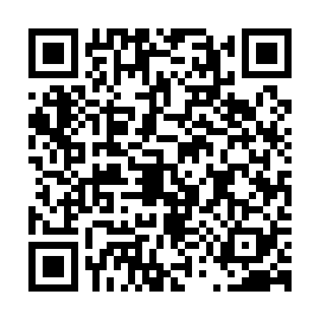 QR code for D551294