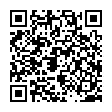QR code for D603234