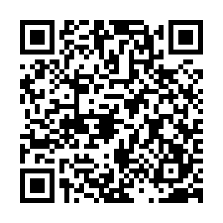 QR code for D638263