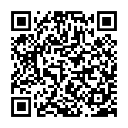 QR code for D66095