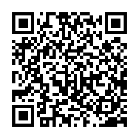 QR code for D80520