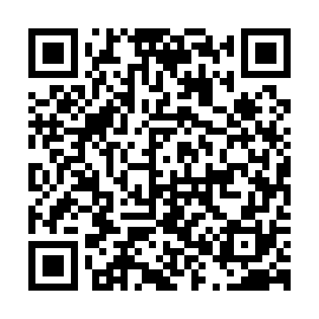 QR code for D85170
