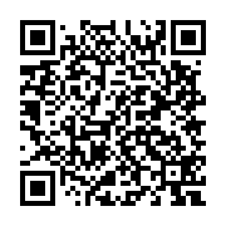 QR code for D85519