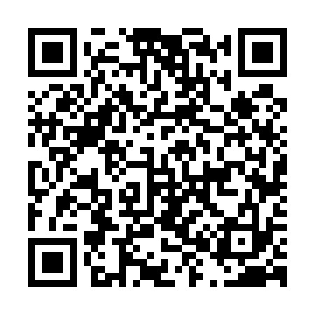 QR code for D86533