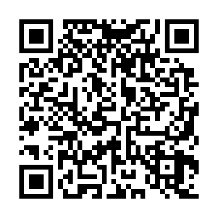 QR code for D913281