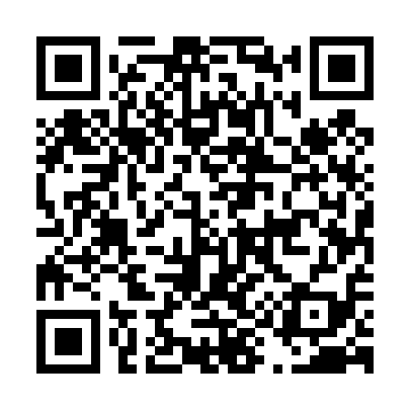 QR code for D95419
