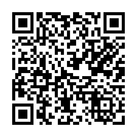 QR code for D96313