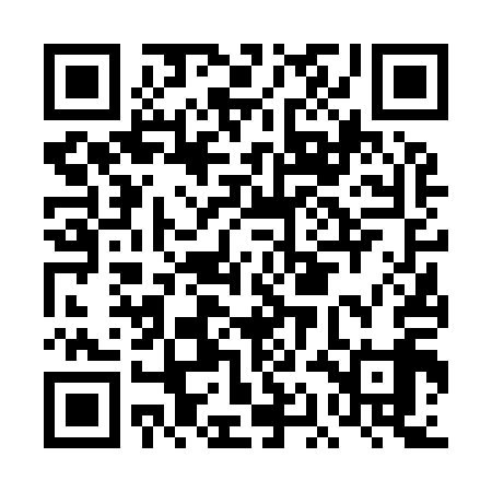 QR code for DAF919