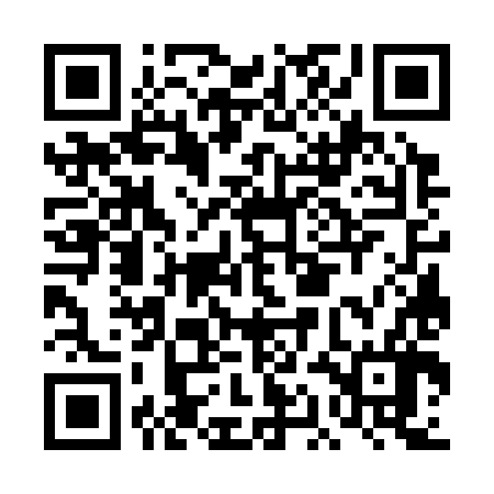 QR code for DAG386