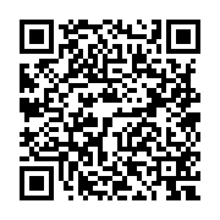 QR code for DD39529