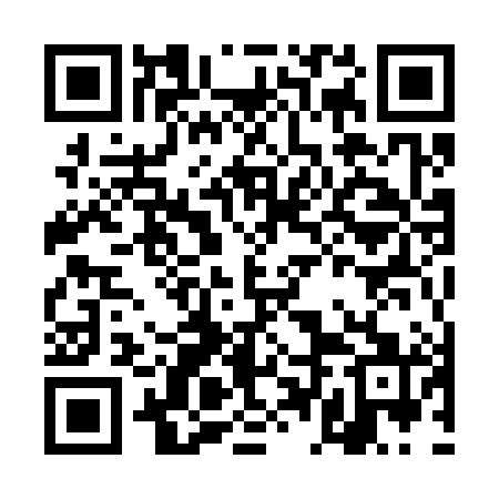 QR code for DDM381
