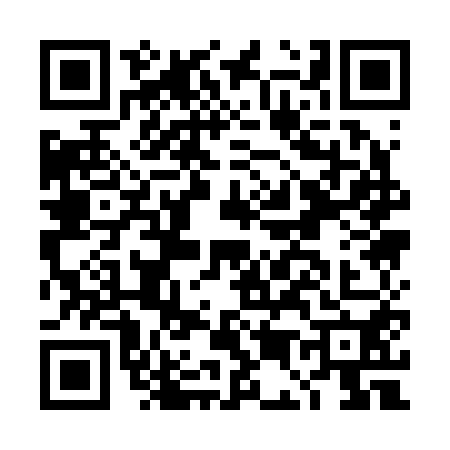 QR code for DE12501