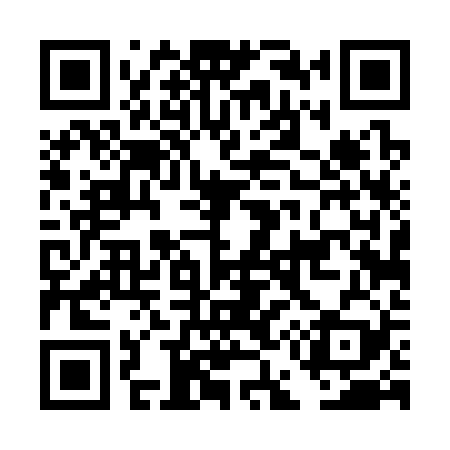 QR code for DE4329