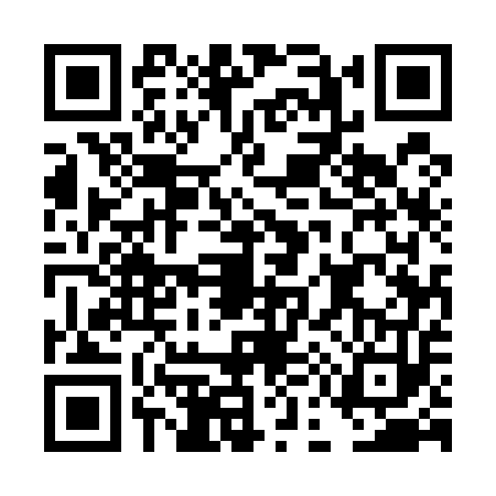 QR code for DE55534