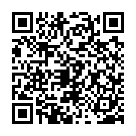 QR code for DE67613