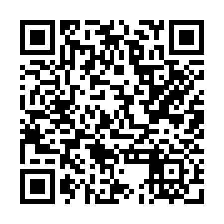 QR code for DEI333