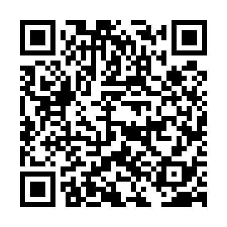 QR code for DFF538
