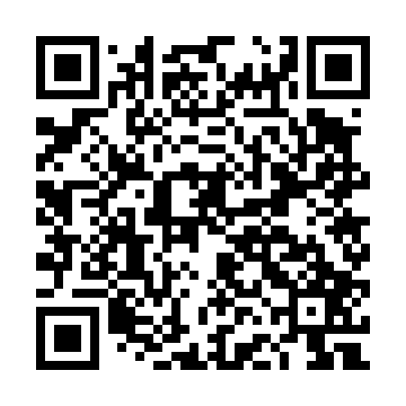 QR code for DFG407