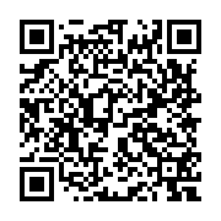 QR code for DFM950