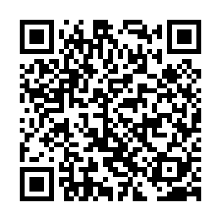 QR code for DFW029