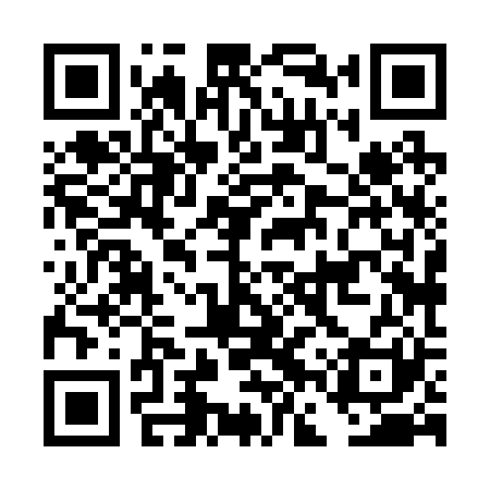 QR code for DFX221