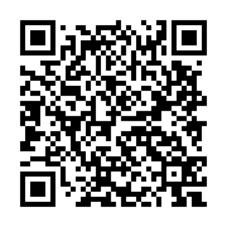 QR code for DFX536